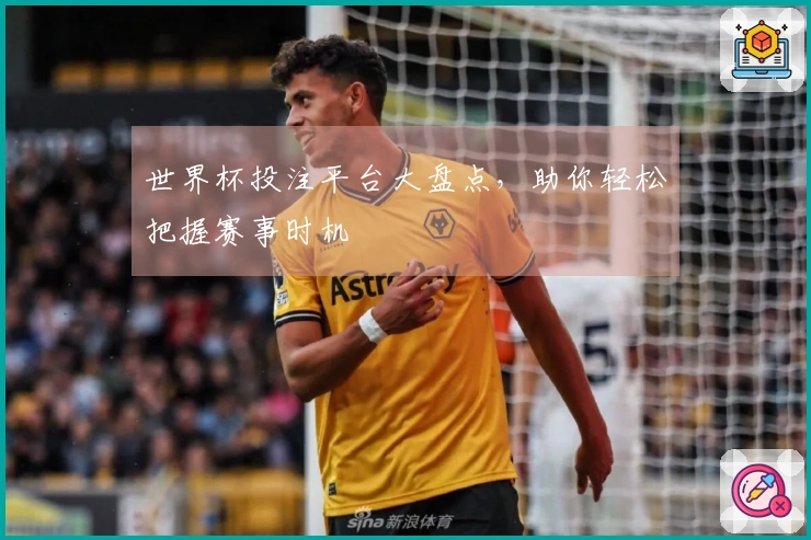 世界杯投注平台大盘点，助你轻松把握赛事时机