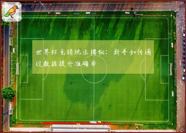 世界杯竞猜玩法揭秘：新手如何通过数据提升准确率