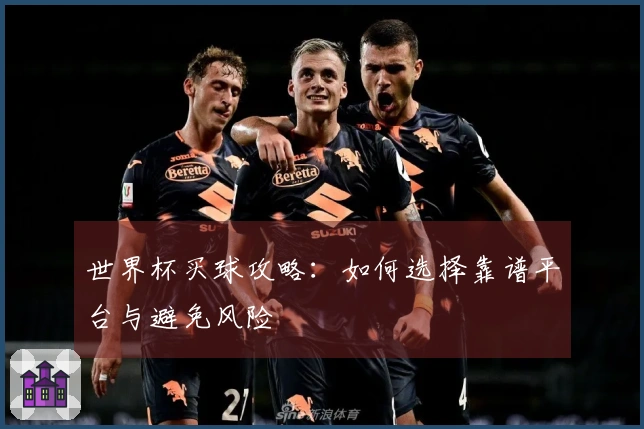 世界杯买球攻略：如何选择靠谱平台与避免风险