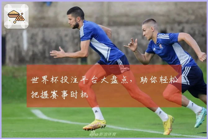 世界杯投注平台大盘点，助你轻松把握赛事时机
